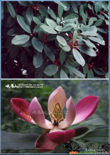 �ƌW(xu��)���o(h��) ��������--���M(j��n)���z���οɳ��m(x��)�l(f��)չ