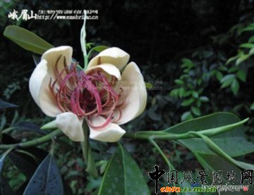 �ƌW(xu��)���o(h��) ��������--���M(j��n)���z���οɳ��m(x��)�l(f��)չ