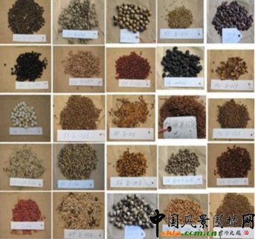 �ƌW(xu��)���o ��������--���M���z���οɳ��m(x��)�l(f��)չ