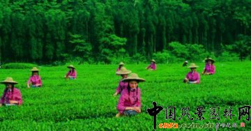 �ƌW(xu��)���o ��������--���M���z���οɳ��m(x��)�l(f��)չ