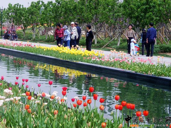 �������H�r����300�f��������`��