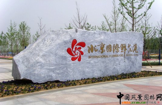 �������H�r����300�f��������`��