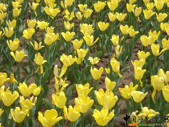 �������H�r����300�f��������`��