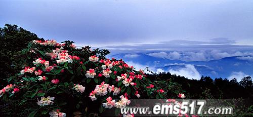 ��üɽ����ɽ��𾰅^(q��)