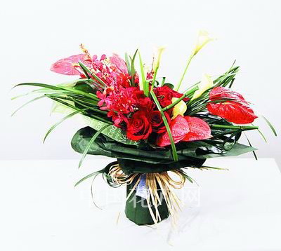 ��(y��u)�ᱭ��ˇ�O(sh��)Ӌ(j��)���I(y��)��ِ�ڡ���܊��Ʒ�p��