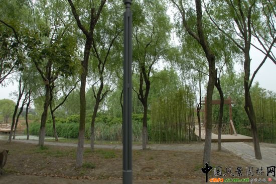 ��ɽɭ�ֹ��@