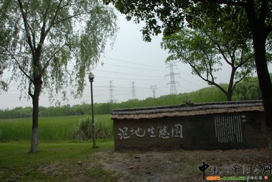 ��ɽɭ�ֹ��@