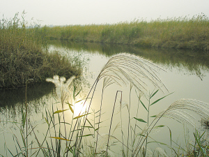 ɽ�|����������������B�� ��Ҫ�����^��ֲ��o��@