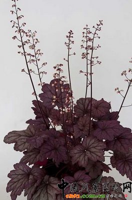 �\������÷��