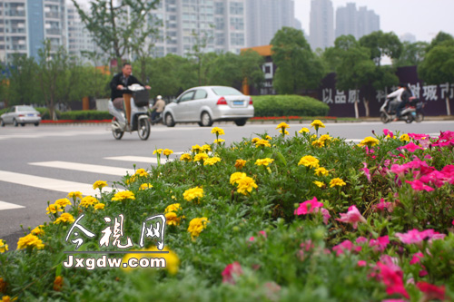 �ϲ����t�Ȟ��G������ ���O(sh��)۶��߅�����B(t��i)�G��