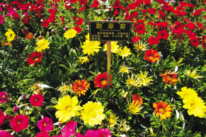 ���w�������L��������