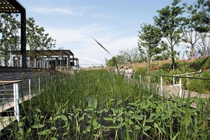 �c�����´��ڞg�[�DƬ