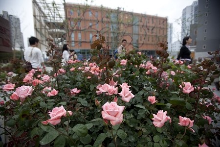 ����õ����c�o�������@ �o����Ո�@�����