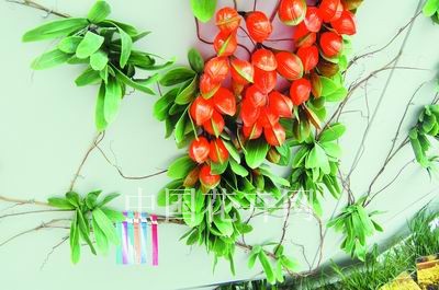 ���Ϻ�������(hu��)Ӣ��(gu��)�^ һ����δ��(l��i)��ʹ���ֲ��