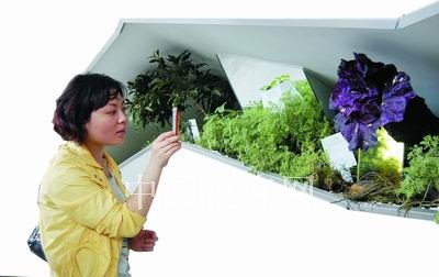 ���Ϻ�������Ӣ���^ һ����δ����ʹ���ֲ��