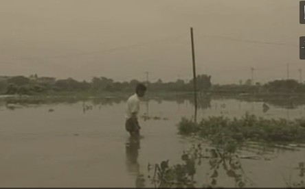 ���r(n��ng)������������