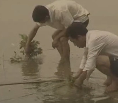 ���r(n��ng)������������