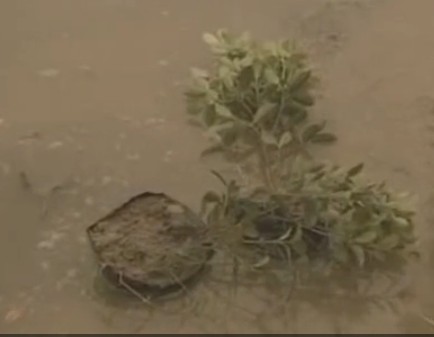 ���r(n��ng)������������