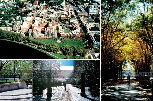 �c(di��n)�����´��ڞg�[�DƬ