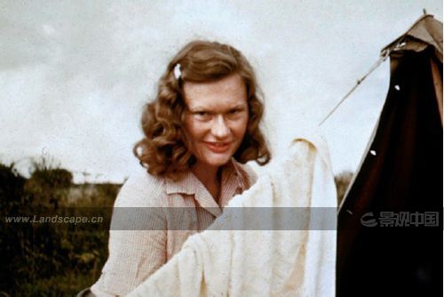 �c(di��n)�����´��ڞg�[�DƬ