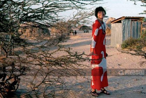 �c(di��n)�����´��ڞg�[�DƬ