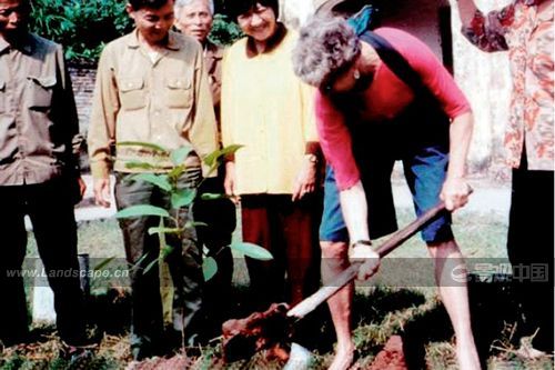 �c(di��n)�����´��ڞg�[�DƬ