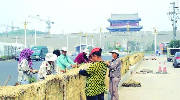 ���ҿڣ������^����� ֲ�ﴩ�ϡ�����������D��