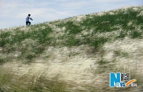 �Ї����S����ԭ���������G���p��ˮ����ʧ