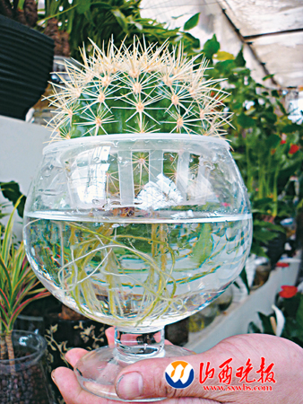 ��ˮ�����������Ҋ�^������