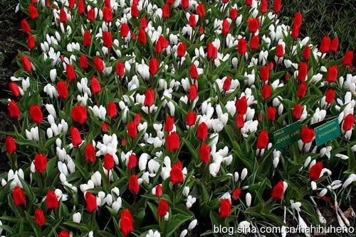 ���籭֮��ĺ��m �I���������������L��