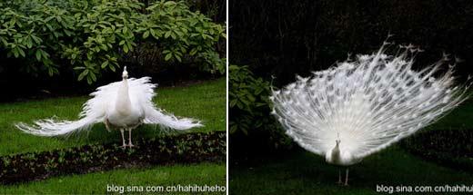 ���籭֮��ĺ��m �I���������������L��