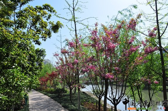 ������ɽ��(������B-�Ͻ���l)�C�����ξG������