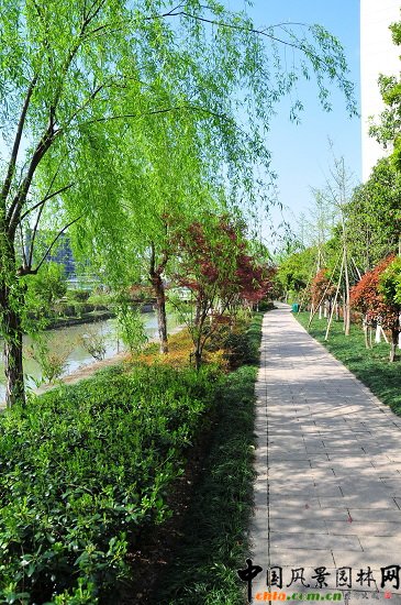 ������ɽ��(������B-�Ͻ���l)�C�����ξG������