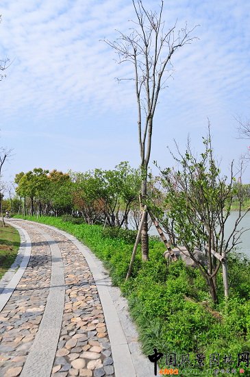 ������ɽ��(��(gu��)����B-�Ͻ���l)�C�����ξG������