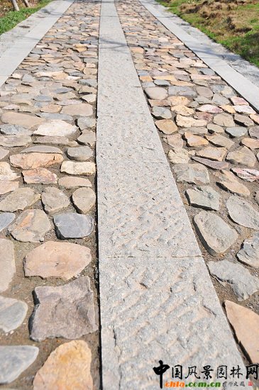 ������ɽ��(��(gu��)����B-�Ͻ���l)�C�����ξG������