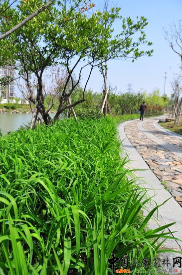 ������ɽ��(��(gu��)����B-�Ͻ���l)�C�����ξG������