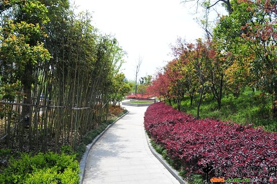 ������ɽ��(������B-�Ͻ���l)�C�����ξG������