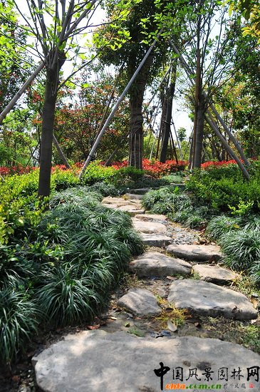 ������ɽ��(������B-�Ͻ���l)�C�����ξG������