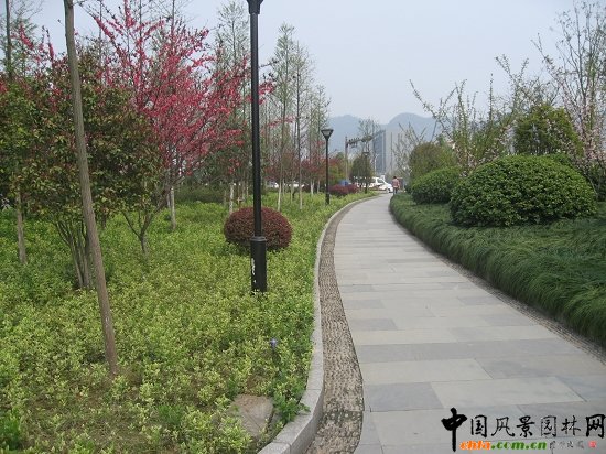 ������ɽ��(������B-�Ͻ���l)�C�����ξG������