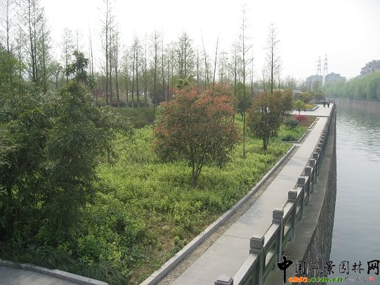 ������ɽ��(������B-�Ͻ���l)�C�����ξG������