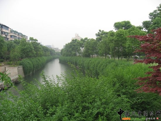 ������ɽ��(������B-�Ͻ���l)�C�����ξG������