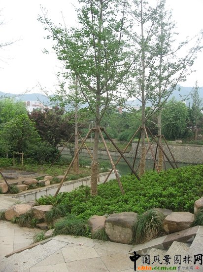 ������ɽ��(������B-�Ͻ���l)�C�����ξG������