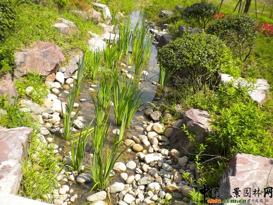 ����������(�@�ǹ�·-�춼��)���^�G������02��