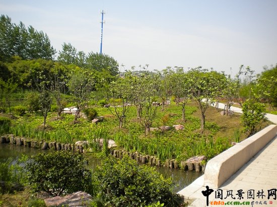 ����������(�@�ǹ�·-�춼��)���^�G������02��