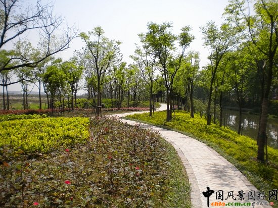 ����������(�@�ǹ�·-�춼��)���^�G������02��