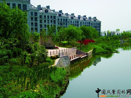 ����������(�@�ǹ�·-�춼��)���^�G������02��