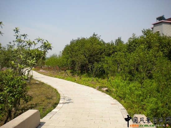 ����������(�@�ǹ�·-�춼��)���^�G������02��