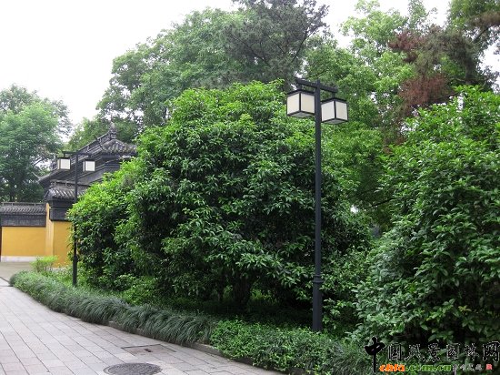 �����׷�Ϧ�ա�������犾��cֲ��䌍�{������