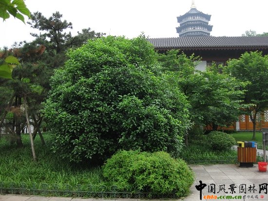 �����׷�Ϧ�ա�������犾��c(di��n)ֲ��䌍(sh��)�{(di��o)������