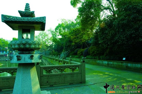 �����׷�Ϧ�ա�������犾��c(di��n)ֲ��䌍(sh��)�{(di��o)������